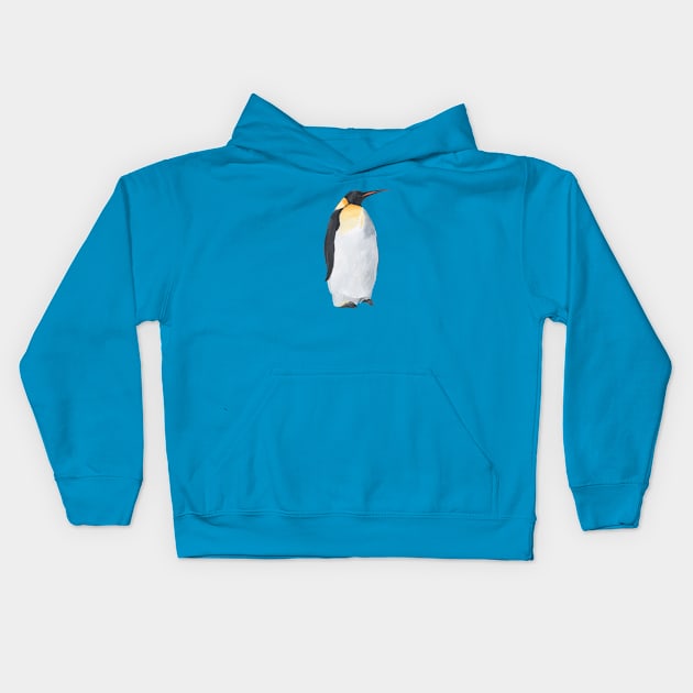 Penguin Kids Hoodie by Das Brooklyn